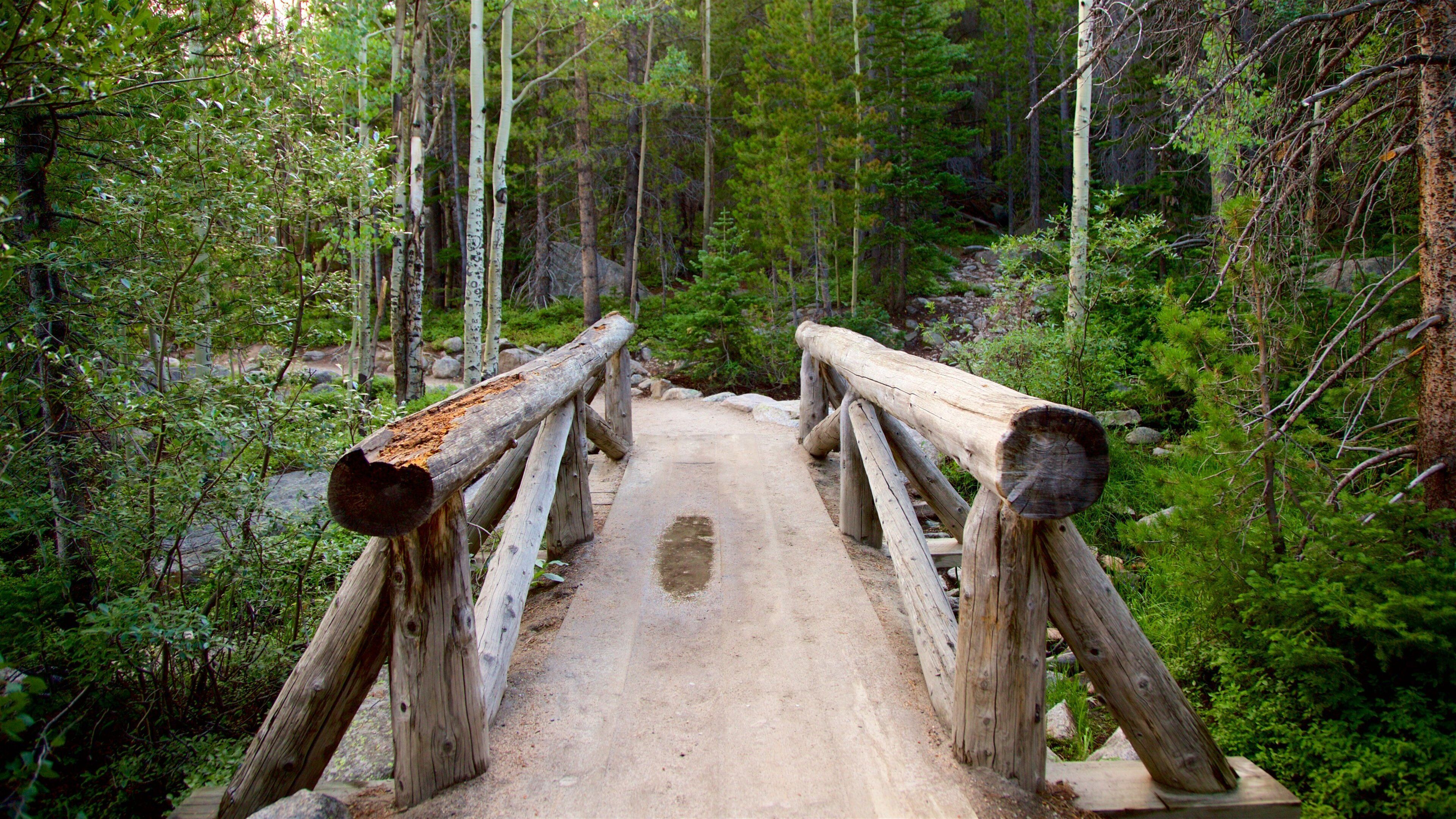 เอสเตสพาร์ค เนื้อเรื่องที่ ป่า และ สะพาน