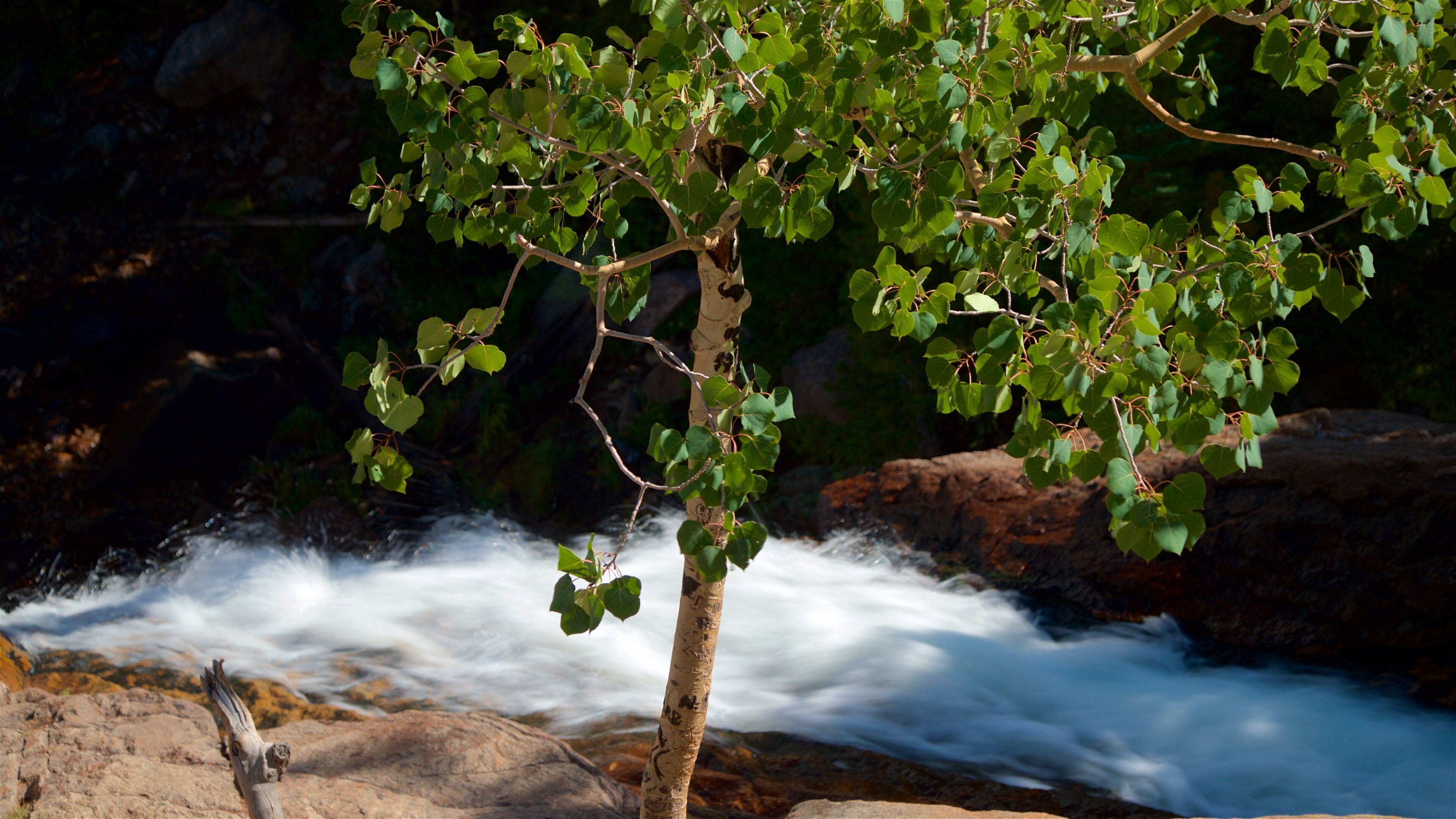 Estes Park featuring rapids