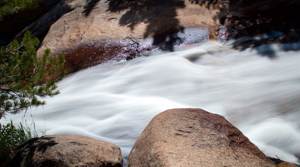 Adams Falls Trail featuring rapids