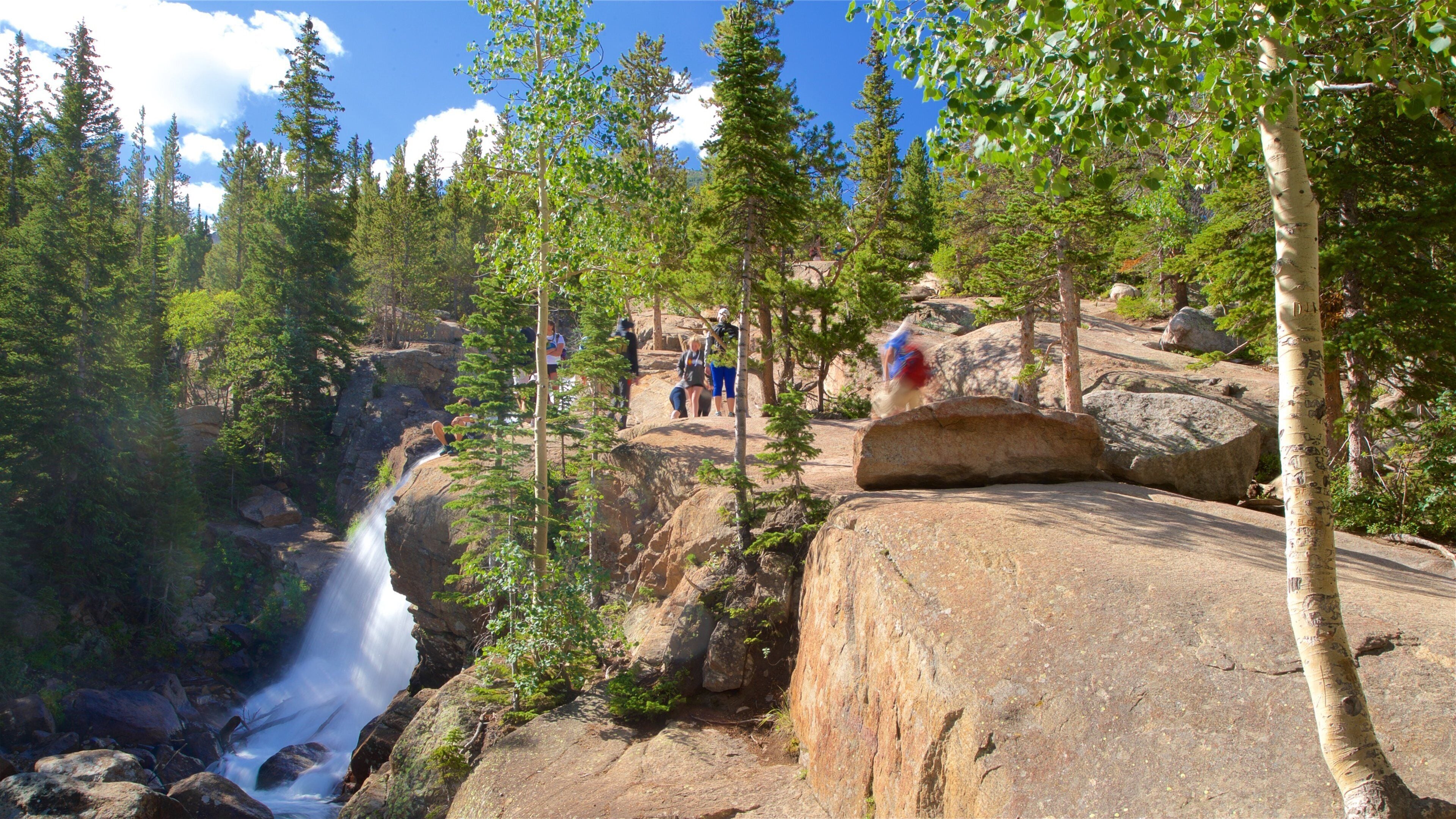 A waterfall cascading down a rocky cliff surrounded by dense forest.