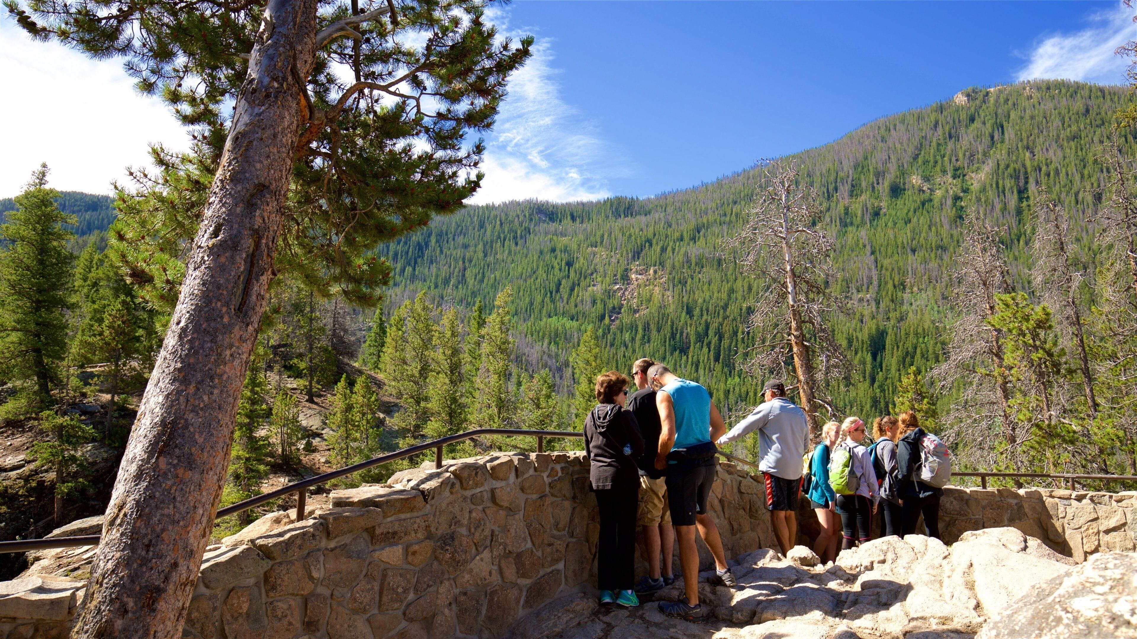 Estes Park showing views and tranquil scenes as well as a small group of people