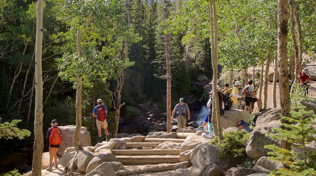 Estes Park fasiliteter samt skoglandskap og vandring eller fottur i tillegg til en liten gruppe med mennesker