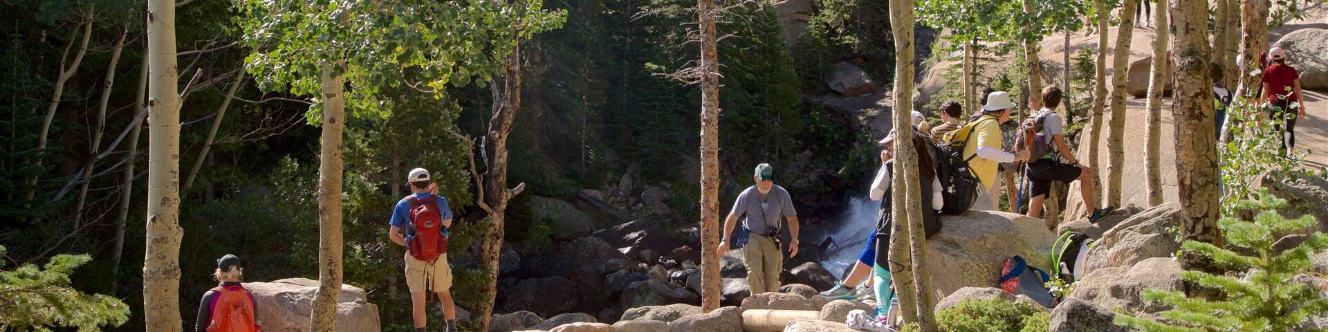A group of hikers on a rocky trail surrounded by trees.