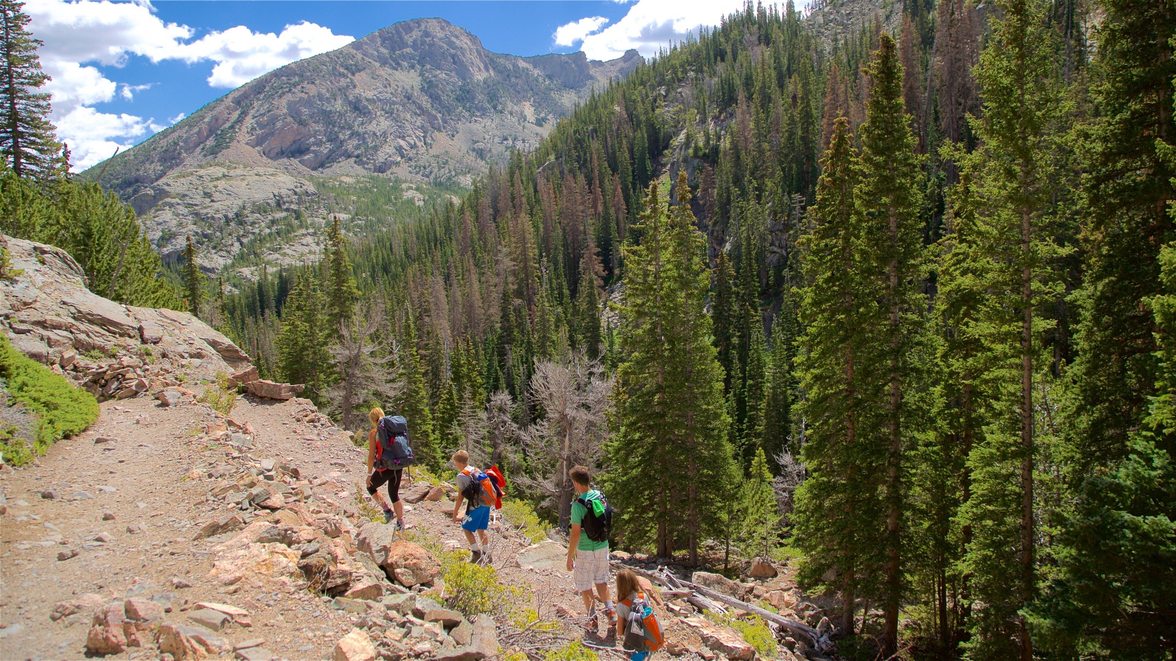Sky Pond which includes forest scenes, hiking or walking and landscape views