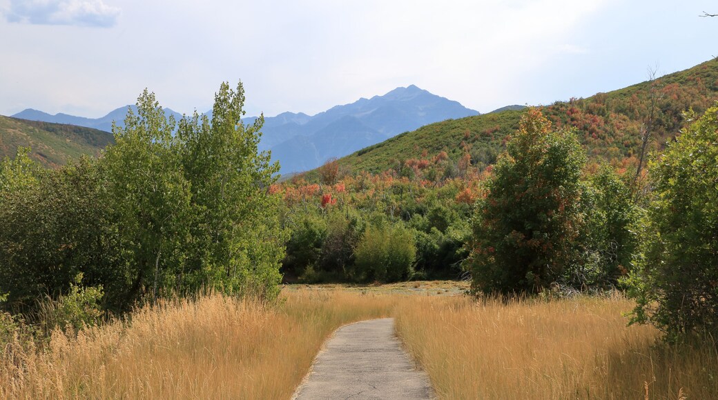 Meadow Loop Trail