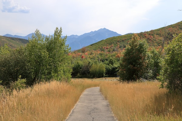 Wasatch Mountains Landscape on the Alpine Loop near Provo, Utah