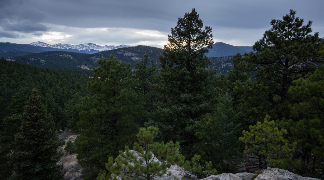 Alderfer/Three Sisters Park