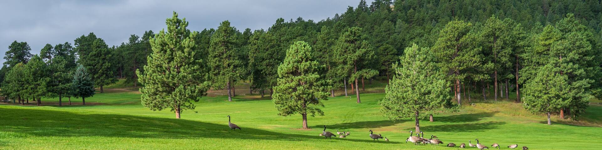 Landscape of meadow, geese, trees, hills and clouds at Dedisse Park in Evergreen Colorado