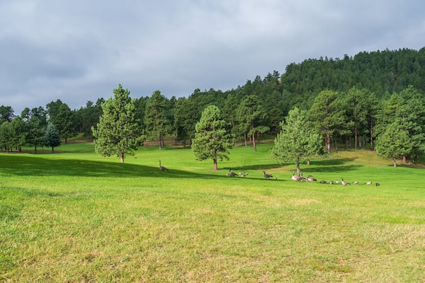 Landscape of meadow, geese, trees, hills and clouds at Dedisse Park in Evergreen Colorado