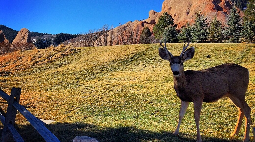 So much wildlife at this place!