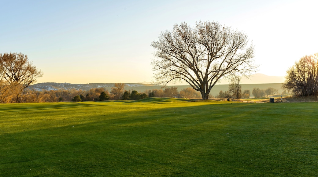 Campo de golf Foothills