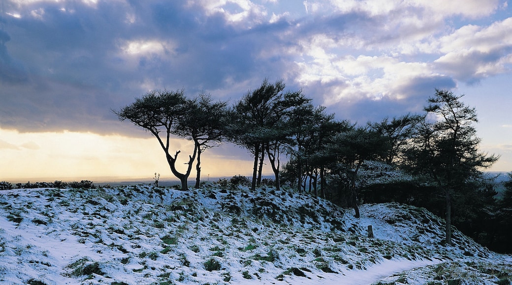 스노위 레인지 스키장