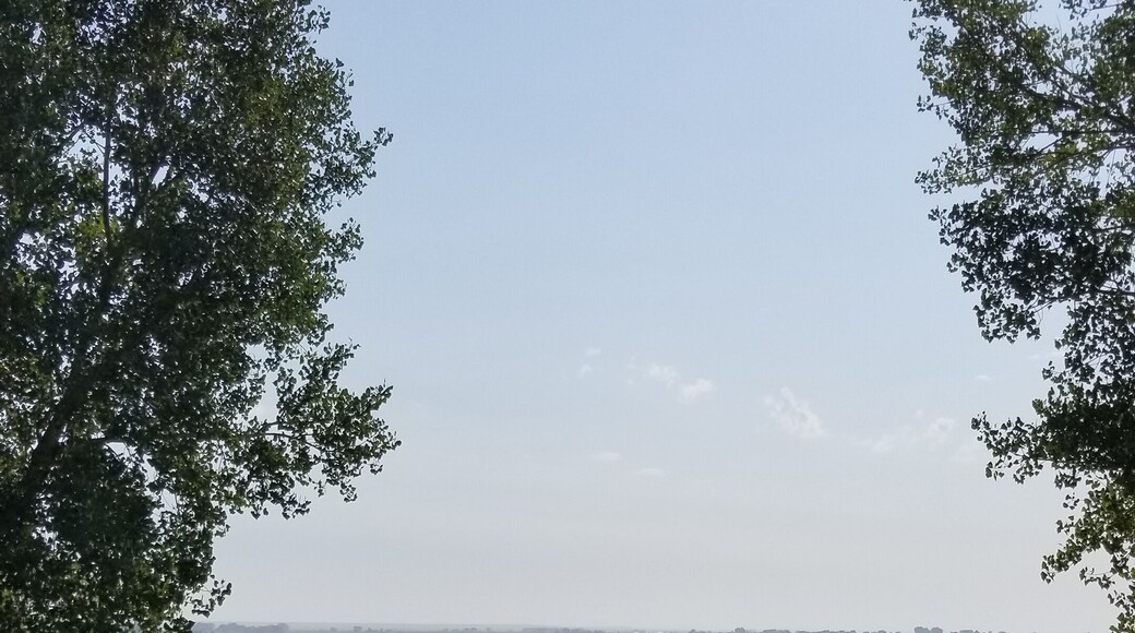 ジャクソン貯水池