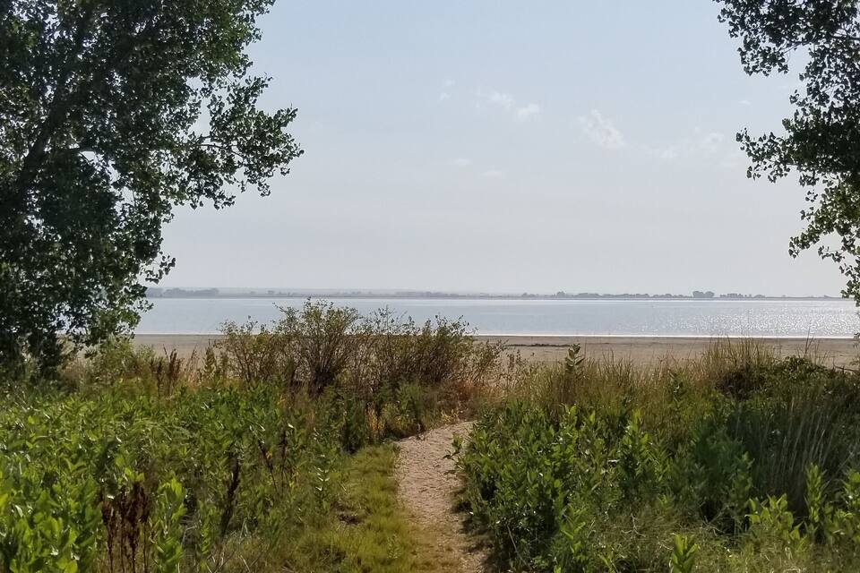 A dirt path leading to a beach with trees on either side.