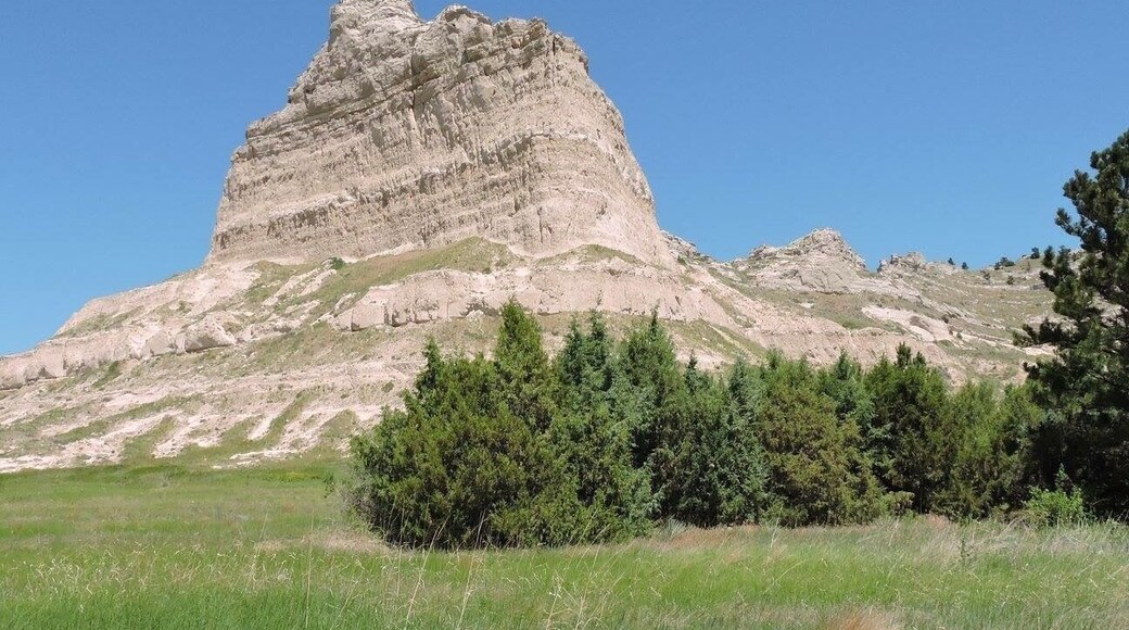 Trying to learn what's in my own backyard.