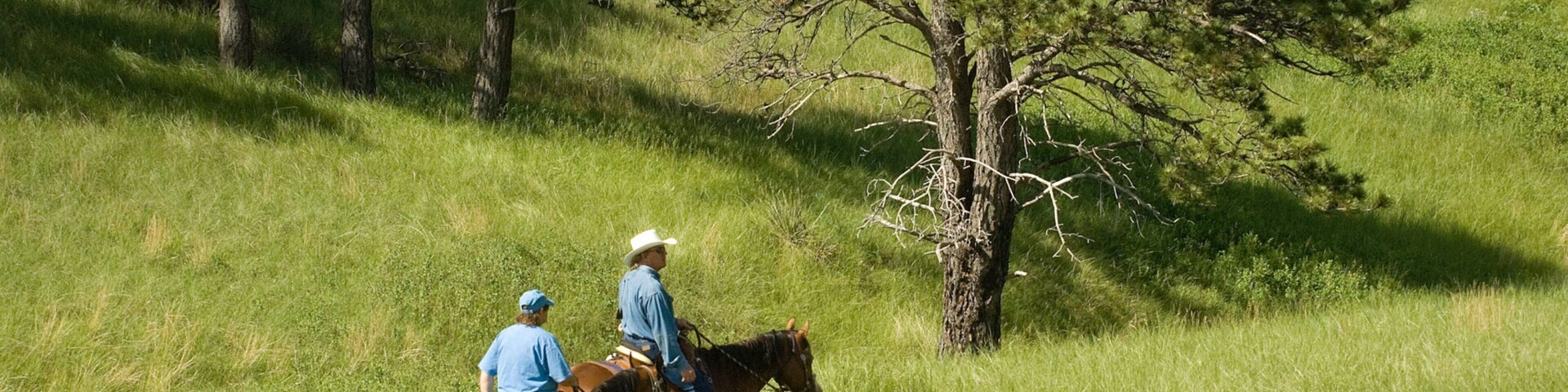 Eastern Nebraska featuring tranquil scenes and horse riding as well as a couple