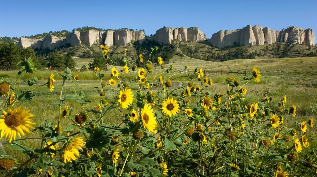 Eastern Nebraska showing tranquil scenes, landscape views and mountains
