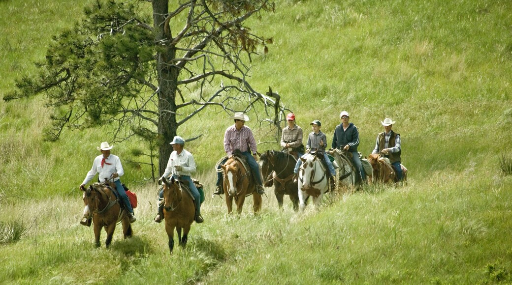 Crawford featuring horse riding and tranquil scenes as well as a small group of people