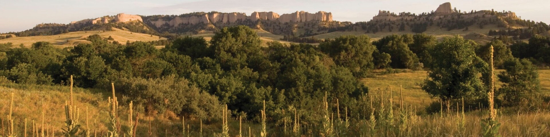 Crawford montrant panoramas et scĂšnes tranquilles
