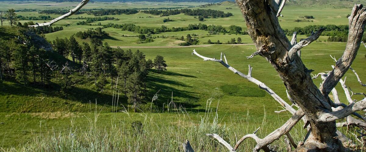 Crawford which includes tranquil scenes and landscape views