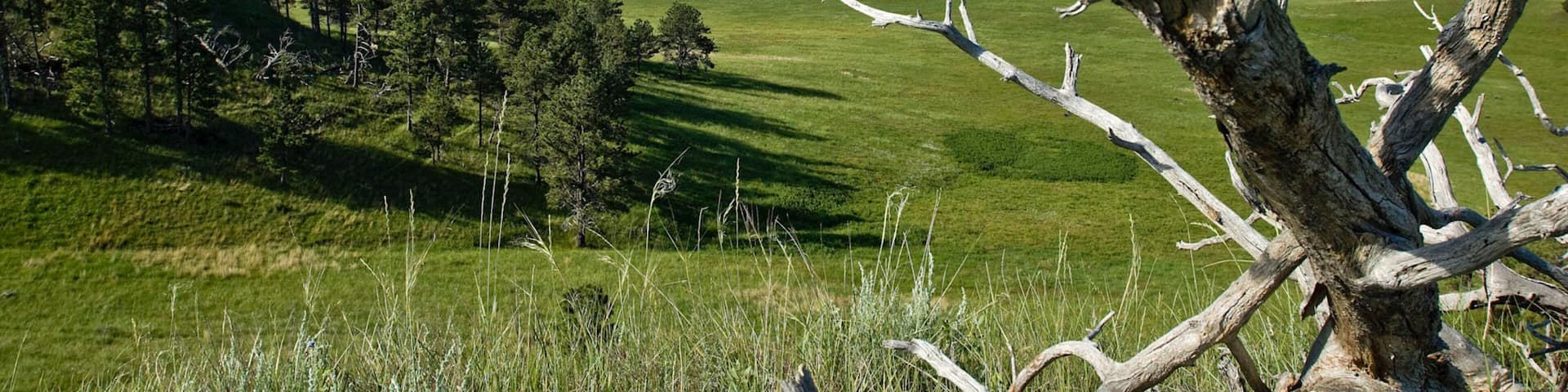 Crawford mettant en vedette scĂšnes tranquilles et panoramas