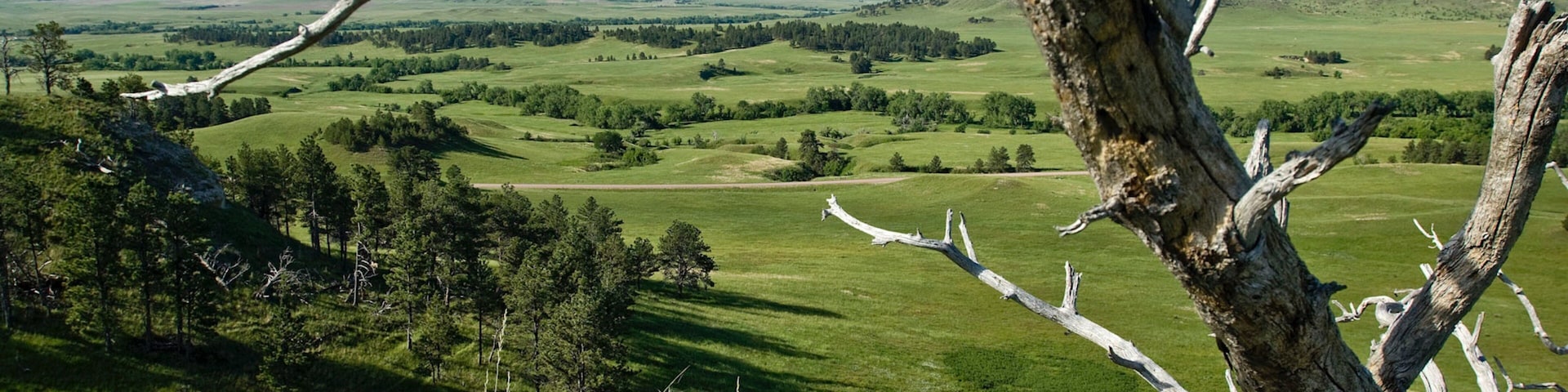 Crawford welches beinhaltet Landschaften und ruhige Szenerie