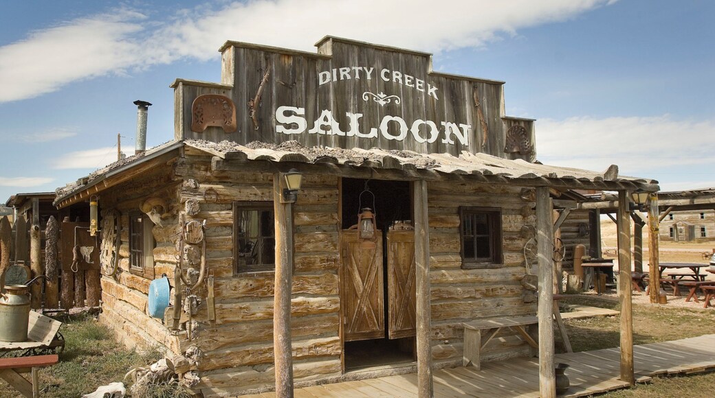 Crawford which includes a small town or village, heritage architecture and signage