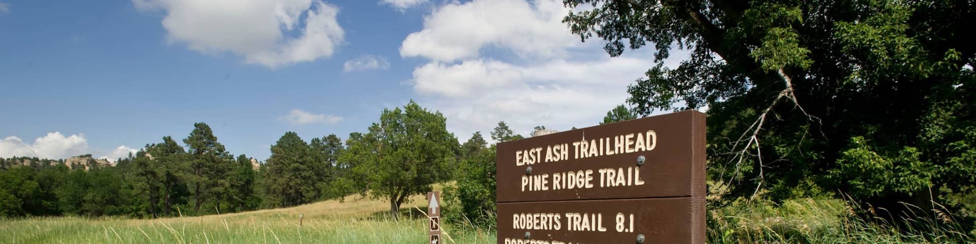 Crawford featuring tranquil scenes and signage