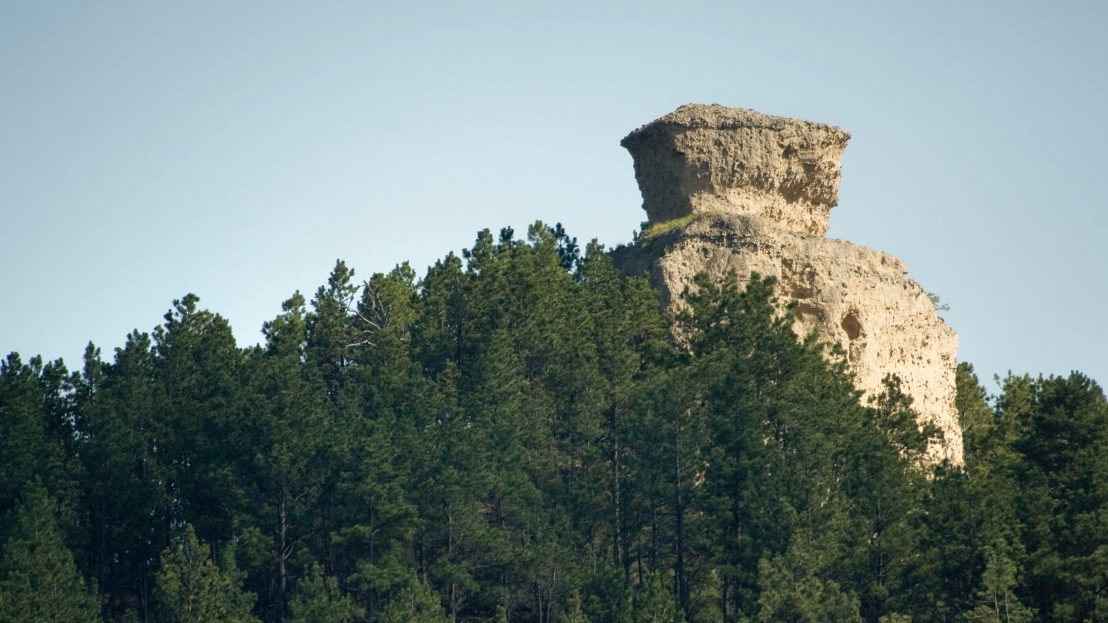 Crawford ofreciendo imágenes de bosques