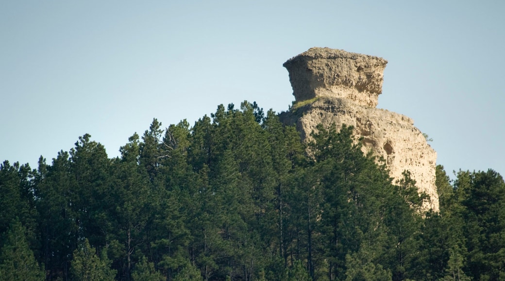 Crawford featuring forests