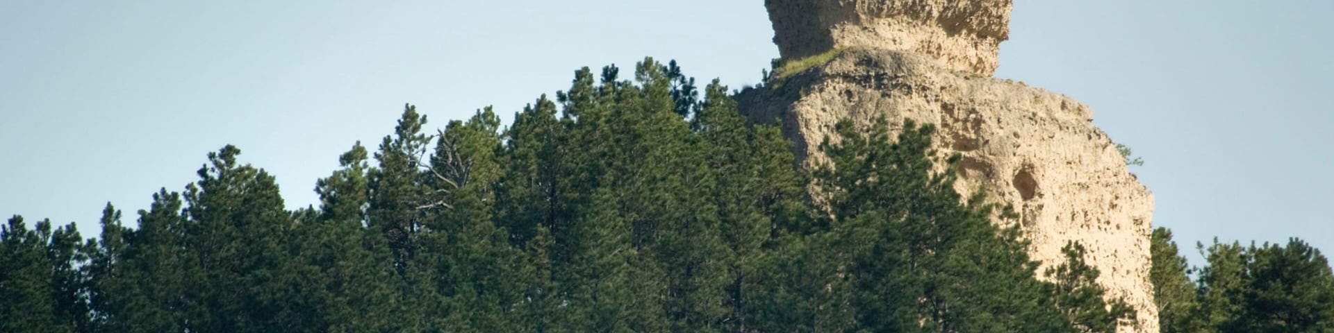 Crawford which includes forests