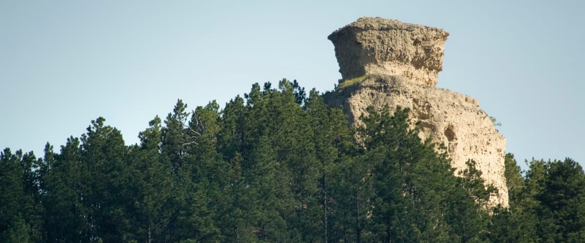 Crawford showing forest scenes