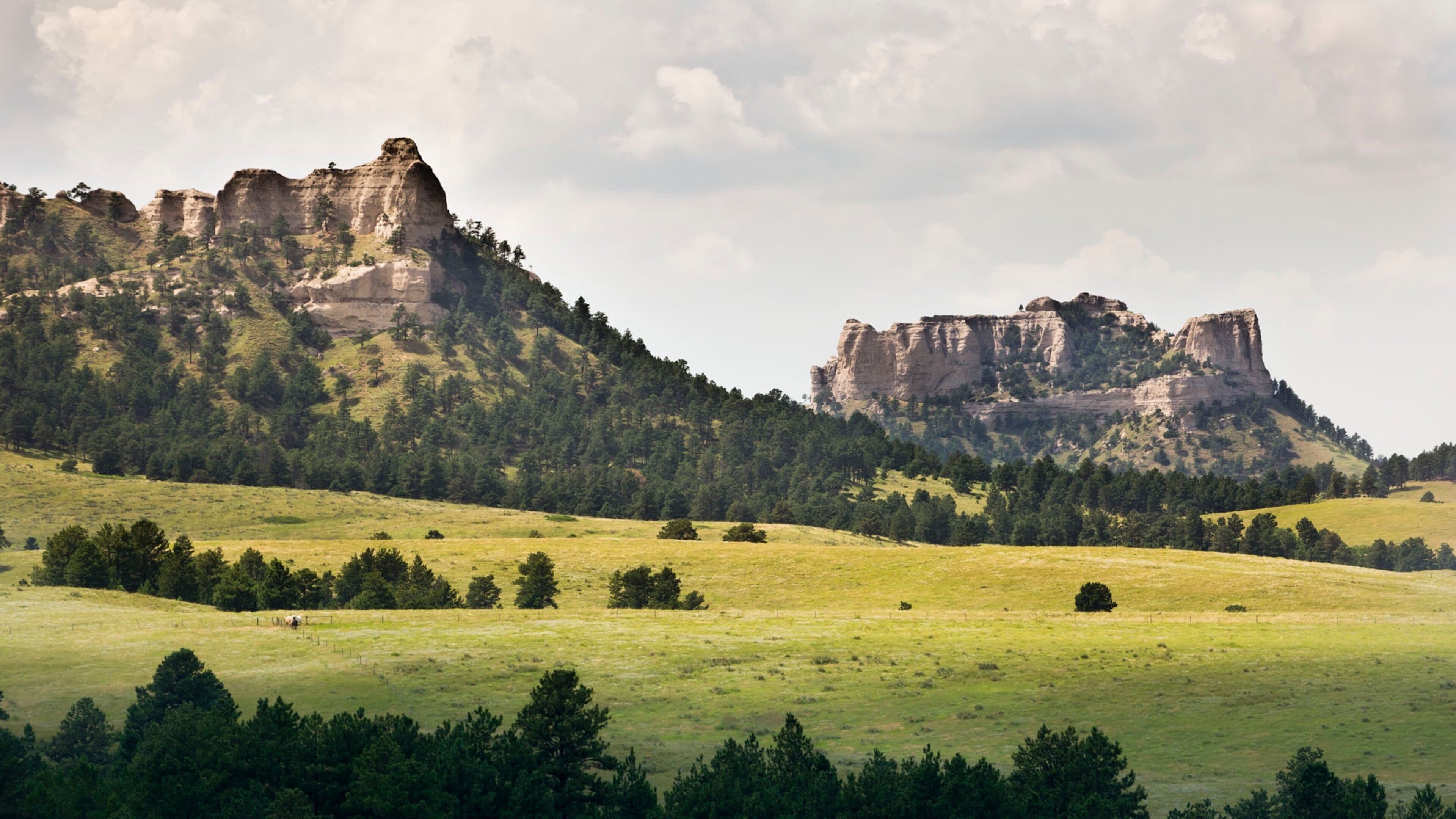 Crawford showing tranquil scenes and landscape views
