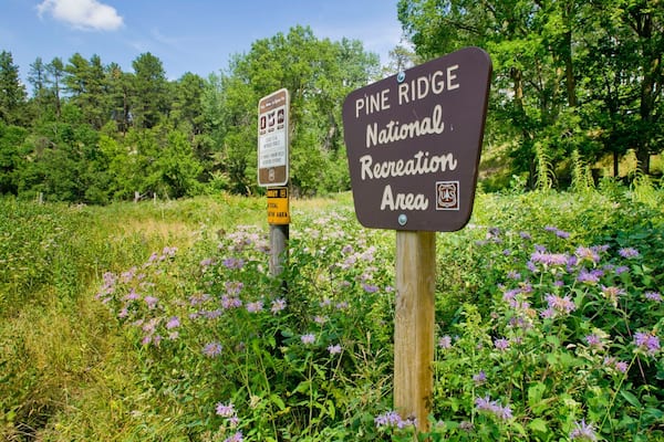 A sign for Pine Ridge National Recreation Area surrounded by lush greenery and purple flowers.