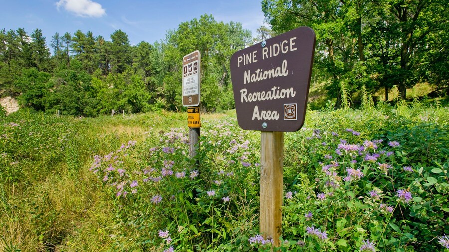 Pine Ridge National Recreation Area featuring tranquil scenes, signage and wildflowers