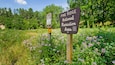 Skilt for Pine Ridge National Recreation Area omgivet af frodig vegetation og lilla blomster.
