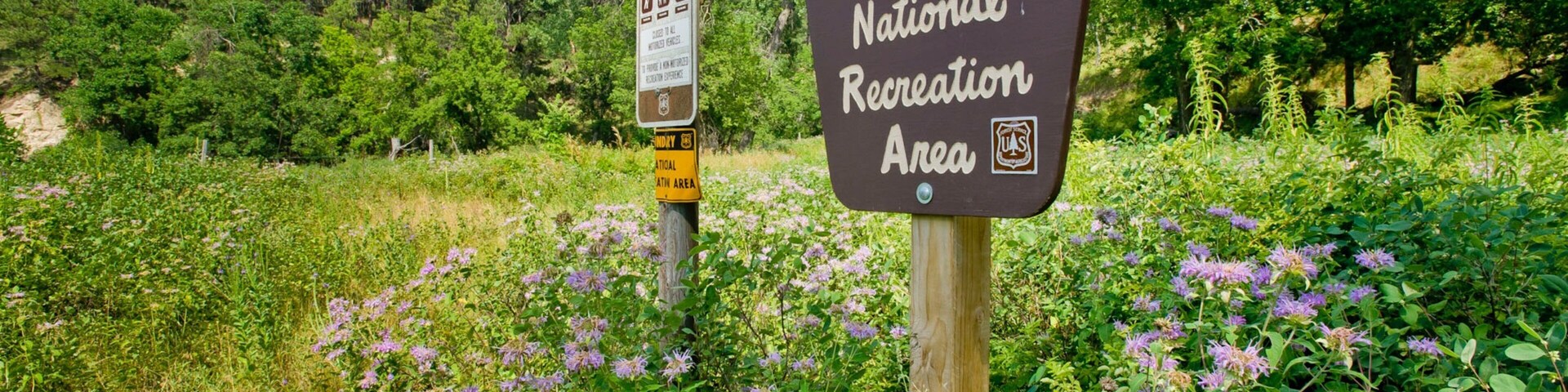 Pine Ridge National Recreation Area featuring tranquil scenes, signage and wildflowers