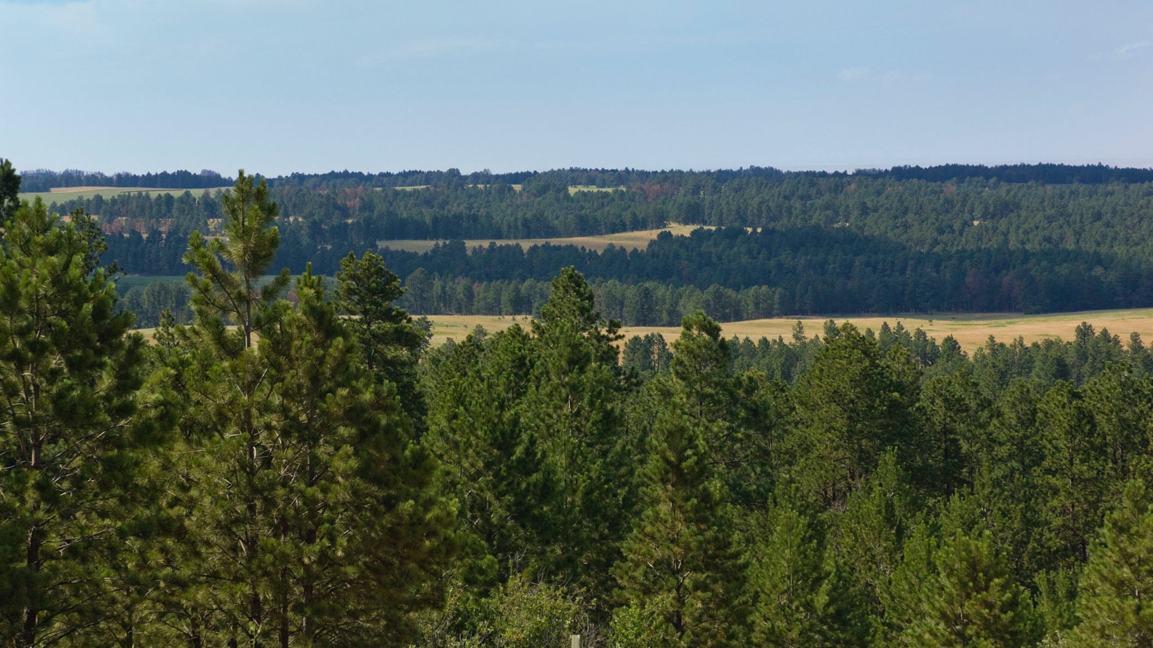 Crawford featuring tranquil scenes, landscape views and forests