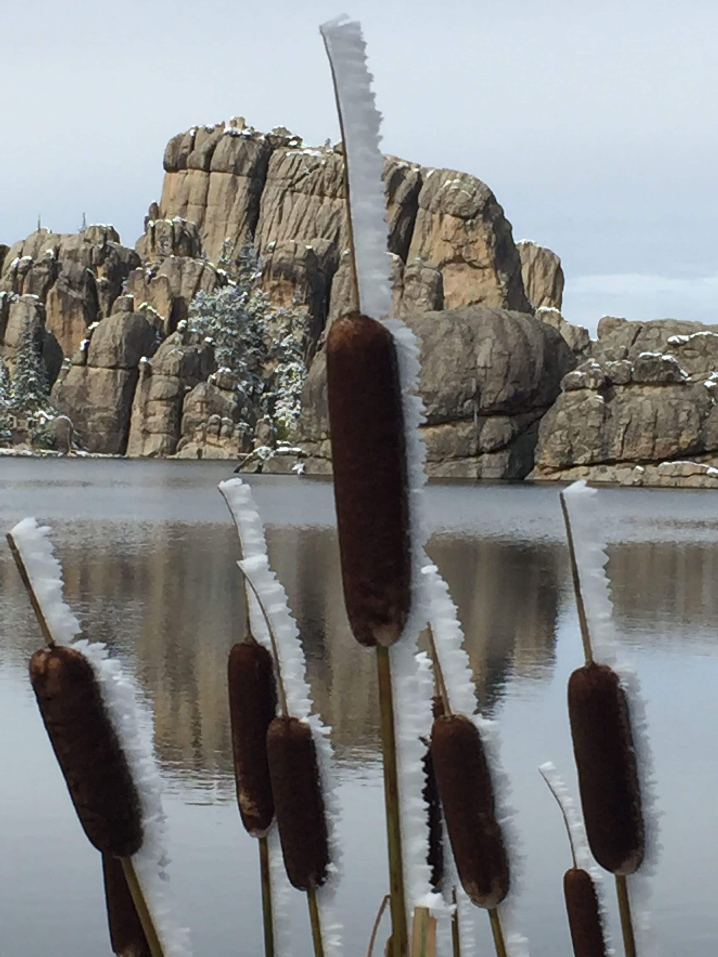 beautiful winter artistry
#GreatOutdoors.