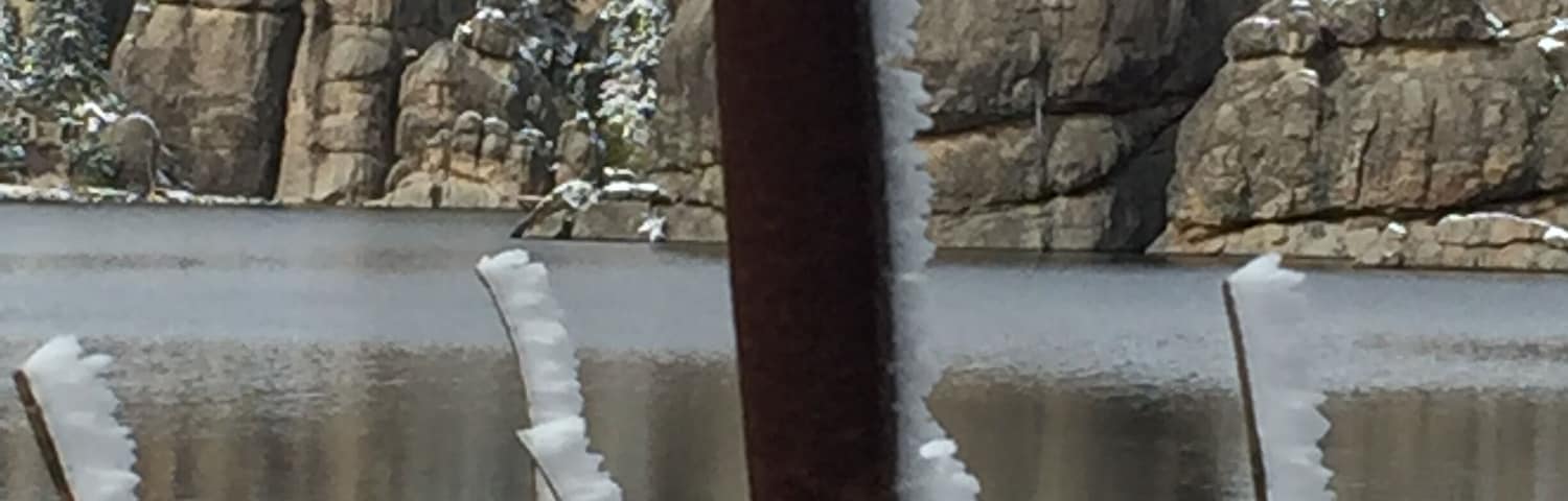beautiful winter artistry
#GreatOutdoors.