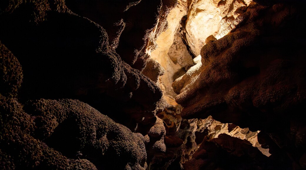 Grottes de Black Hills