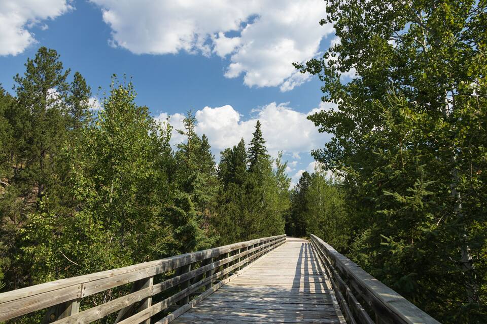 Un paseo marítimo de madera que atraviesa un bosque, con cielo despejado.