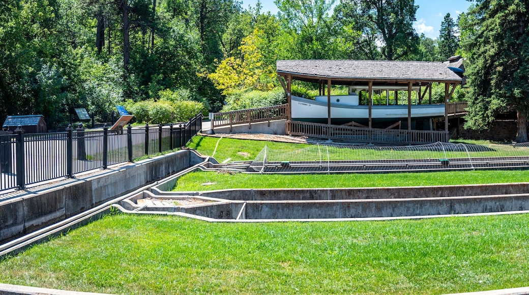 D.C. Booth Historic National Fish Hatchery