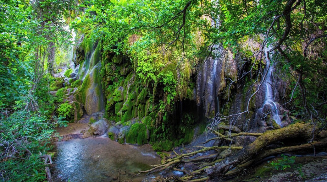 As a longtime Texas resident, Gorman Falls is one of my favorite places. It is a waterfall in Colorado Bend State Park that is a wonderful reprieve from the typically hot summer days. The falls are spring fed and covered with travertine (cave formations) that have formed over the millennia. The falls essentially create a cool otherworldly microclimate. While the park offeres ample camping, the nearby town of Llano can be enjoyed by those who prefer a hotel room and a bed. Be sure to enjoy a stop at the nearby Fiesta winery if in the area. The wine isn't anything special, but it's drinkable and the owners are often there and will share with you the history of their land and operation.