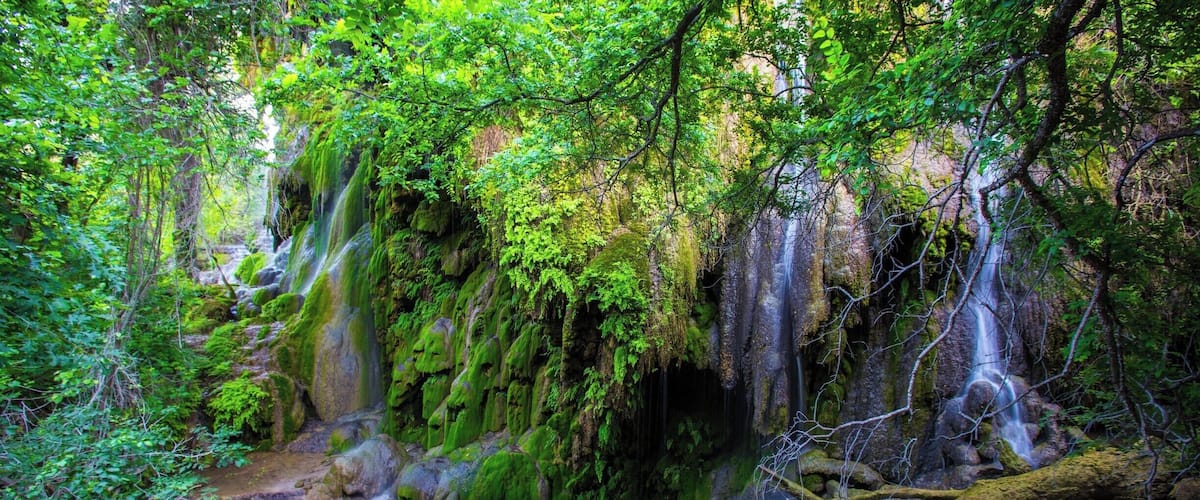 As a longtime Texas resident, Gorman Falls is one of my favorite places.  It is a waterfall in Colorado Bend State Park that is a wonderful reprieve from the typically hot summer days. The falls are spring fed and covered with travertine (cave formations) that have formed over the millennia.  The falls essentially create a cool otherworldly microclimate.  While the park offeres ample camping, the nearby town of Llano can be enjoyed by those who prefer a hotel room and a bed. Be sure to enjoy a stop at the nearby Fiesta winery if in the area.  The wine isn't anything special, but it's drinkable and the owners are often there and will share with you the history of their land and operation.
