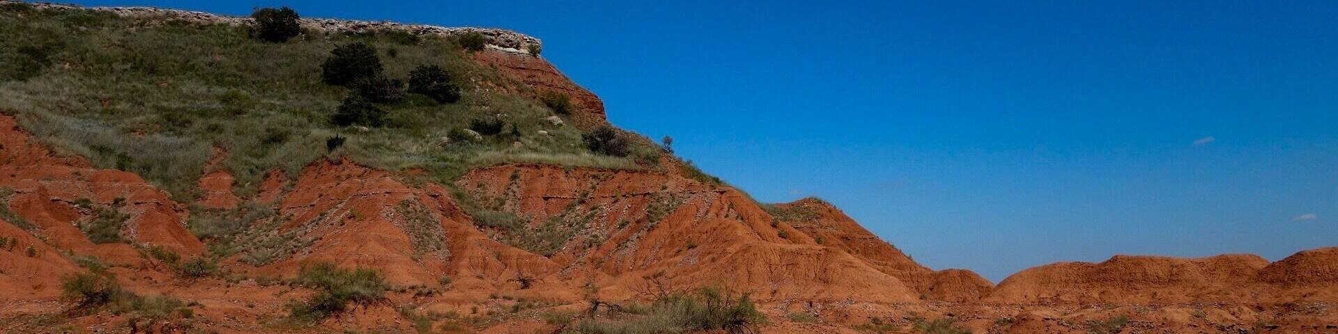"The camera makes you forget you’re there. It’s not like you are hiding but you forget, you are just looking so much.”
