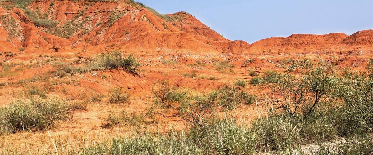 A red desert landscape with sparse vegetation and a clear blue sky.