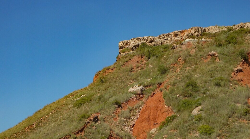 "In photography there is a reality so subtle that it becomes more real than reality.”