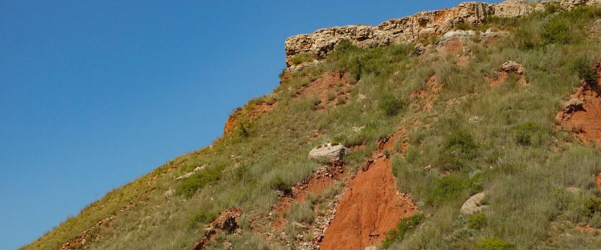 "In photography there is a reality so subtle that it becomes more real than reality.”