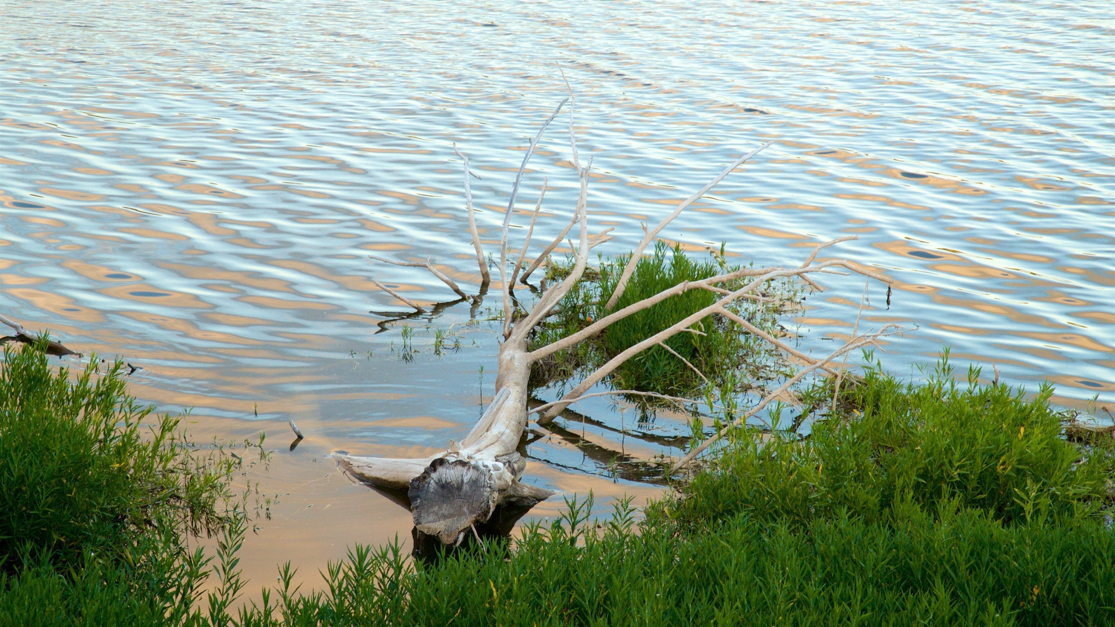 Veteran\'s Lake which includes a lake or waterhole